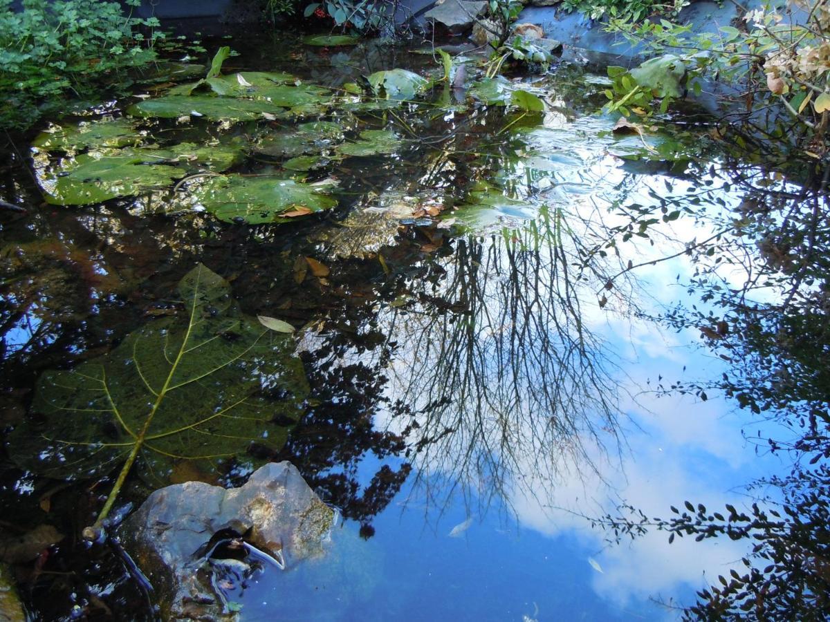 Вілла Le Bois Des Pierres Conteville  Екстер'єр фото